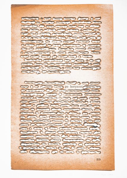 Zuza Dolega – Po horyzont