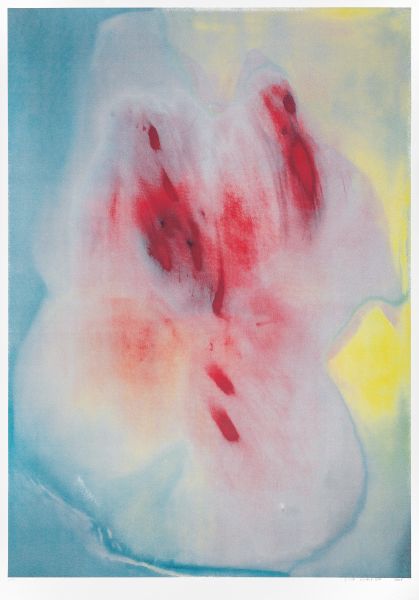 Edyta Kowalewska – Sitodruk – Irys