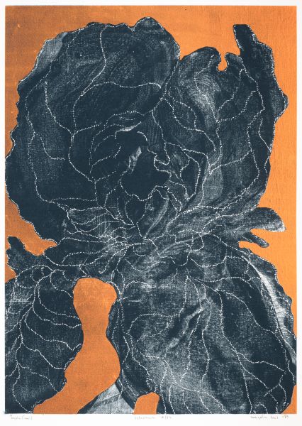 Magdalena Król – Iryda (Iris)