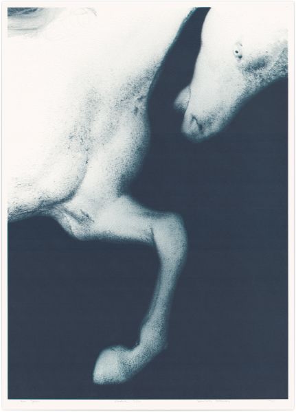 Dominika Sadowska – Bez tytułu