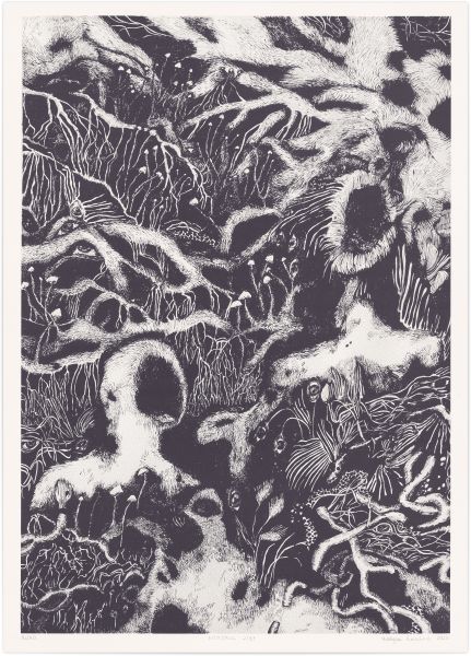 Martyna Kowalska-Friese – Runo