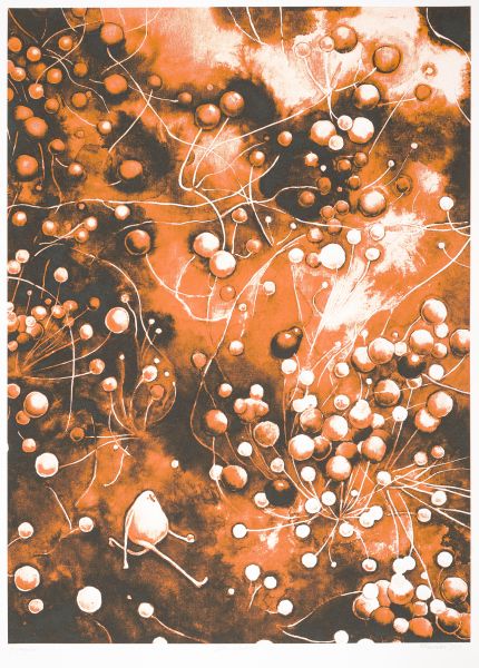 Marta Marszałek – Aspergillus