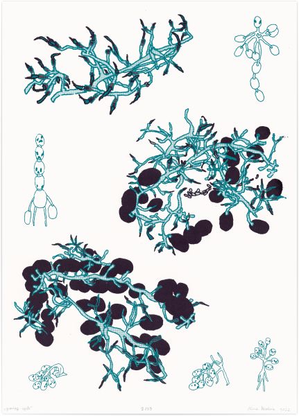 Alina Mielnik – growing cycle